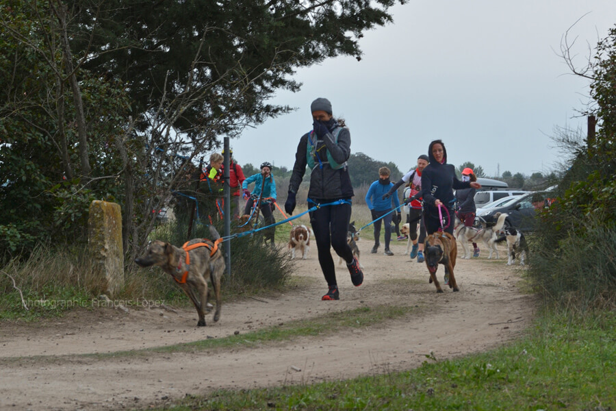 GARD' O DOG: canicross du 10 janvier 2021