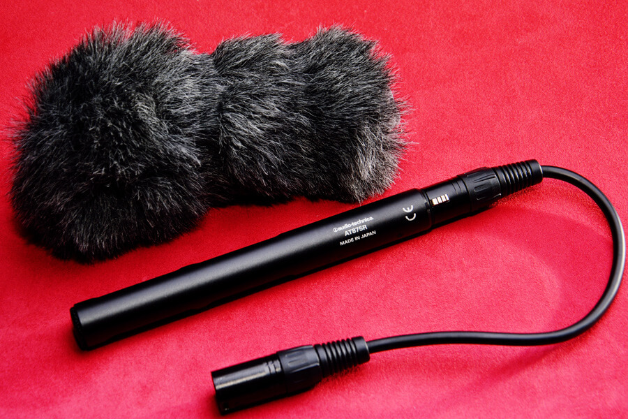 Audiotechnica micro canon AT875R